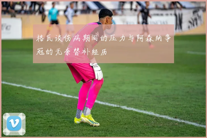 格瓦谈伤病期间的压力与阿森纳争冠的无奈替补经历
