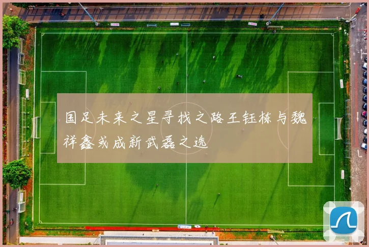 国足未来之星寻找之路王钰栋与魏祥鑫或成新武磊之选